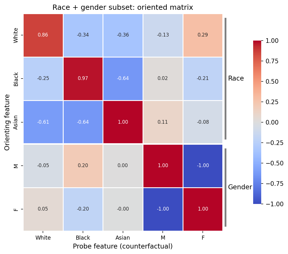 Race + gender oriented counterfactual matrix