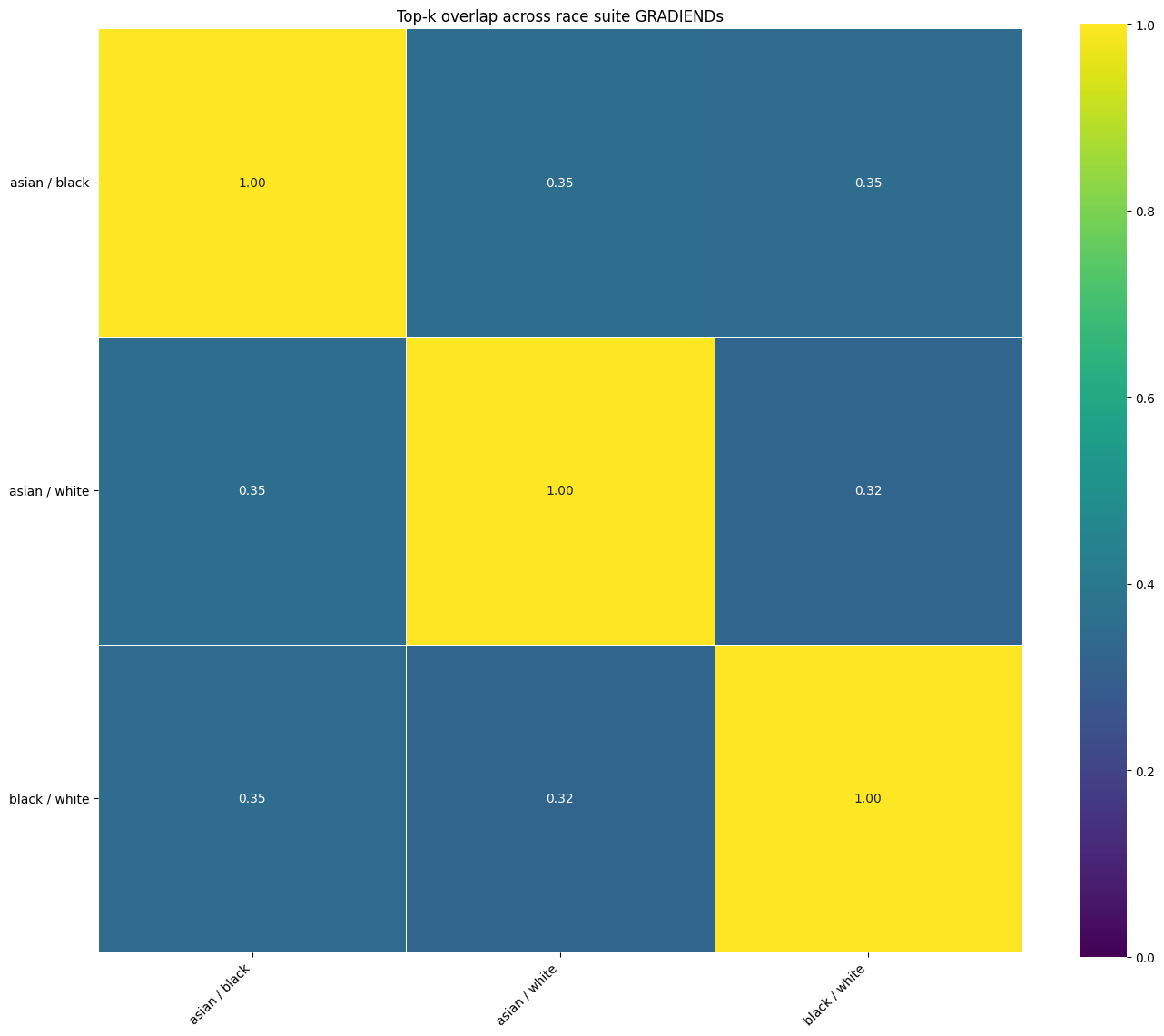 Top-k decoder overlap across the three race GRADIENDs